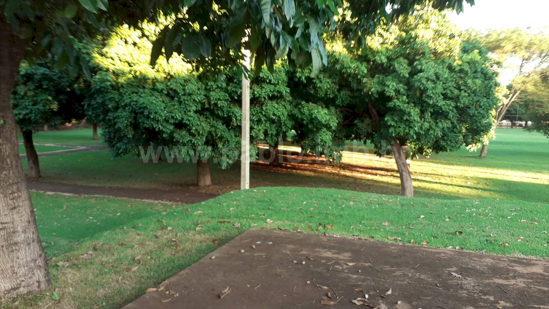 Vende-se Escola em Dourados - Pablo Cunha10_PBC.jpeg