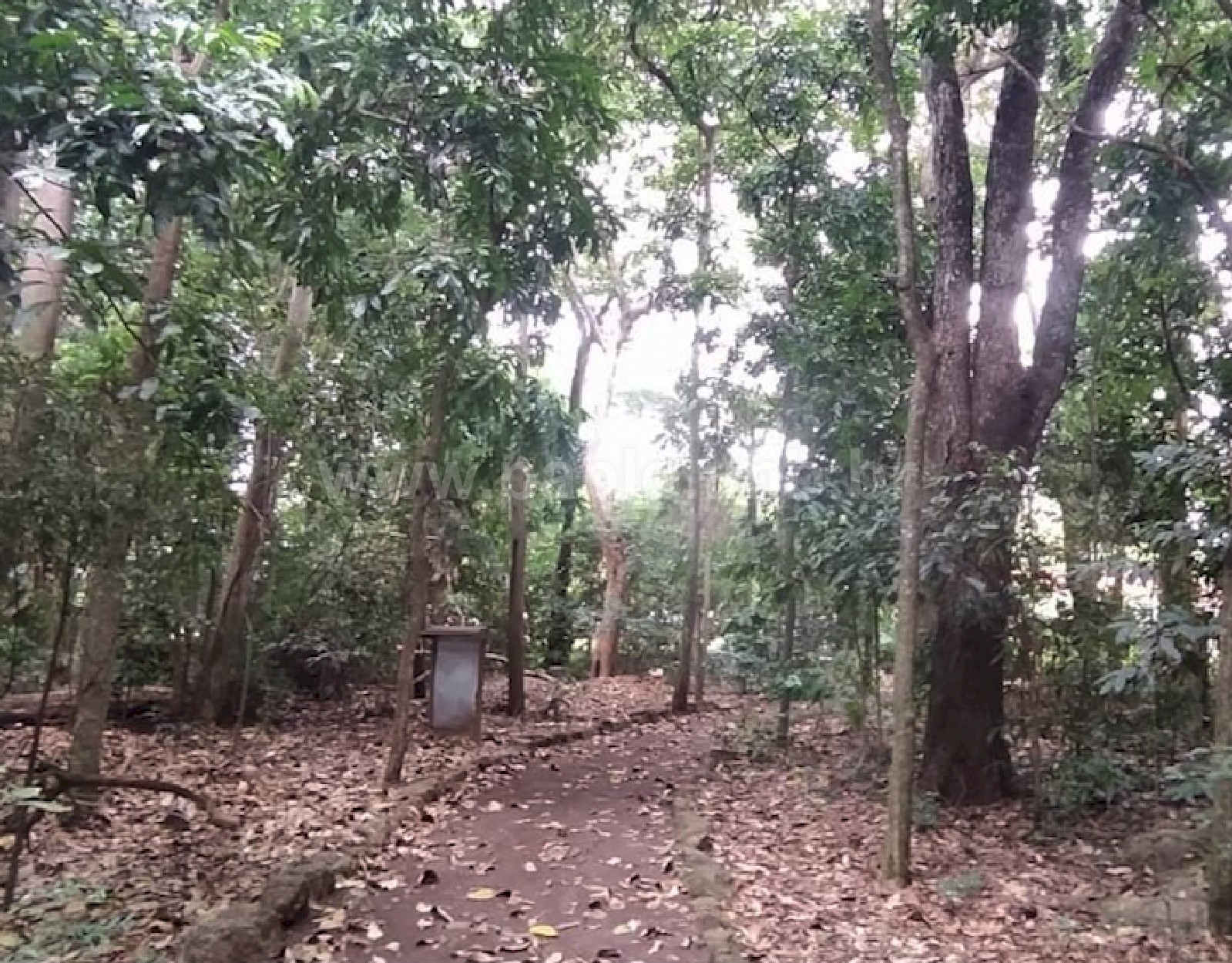 Vende-se Escola em Dourados - Pablo Cunha_8_PBC.jpg