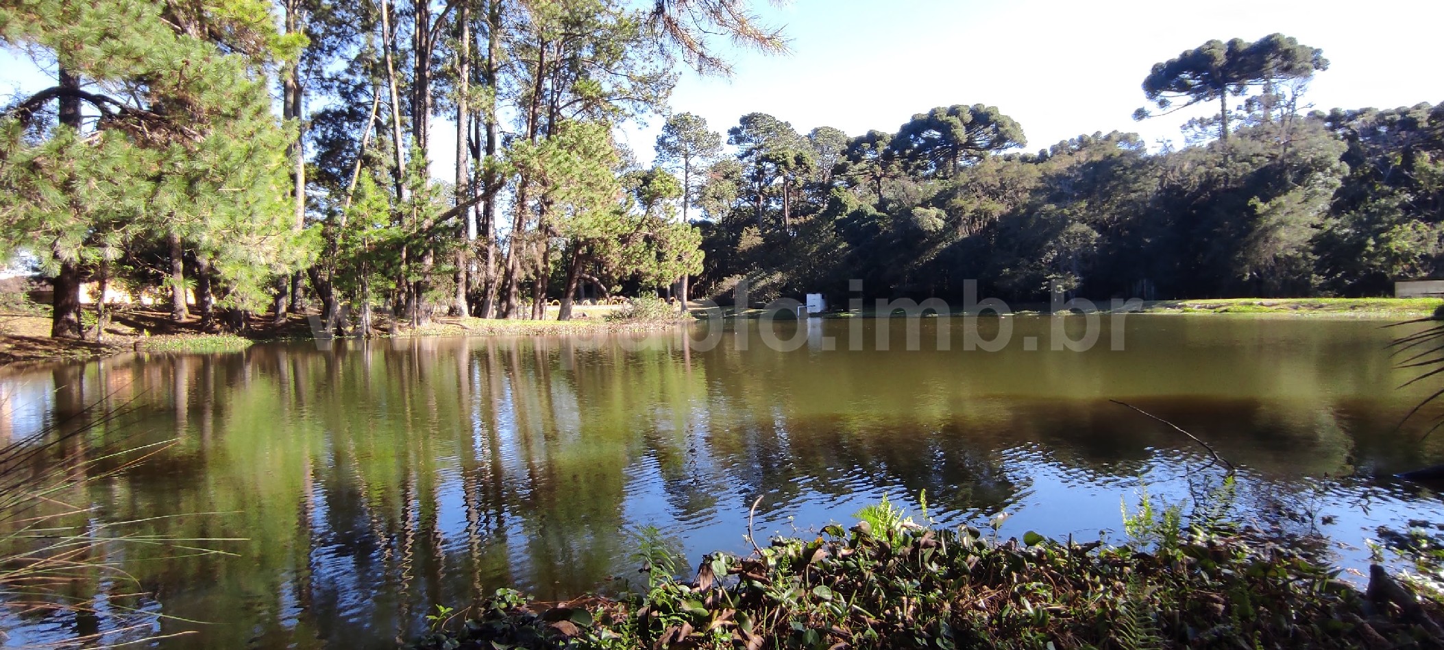 Great-land-for-sale-brazil_PabloRealty9.jpg