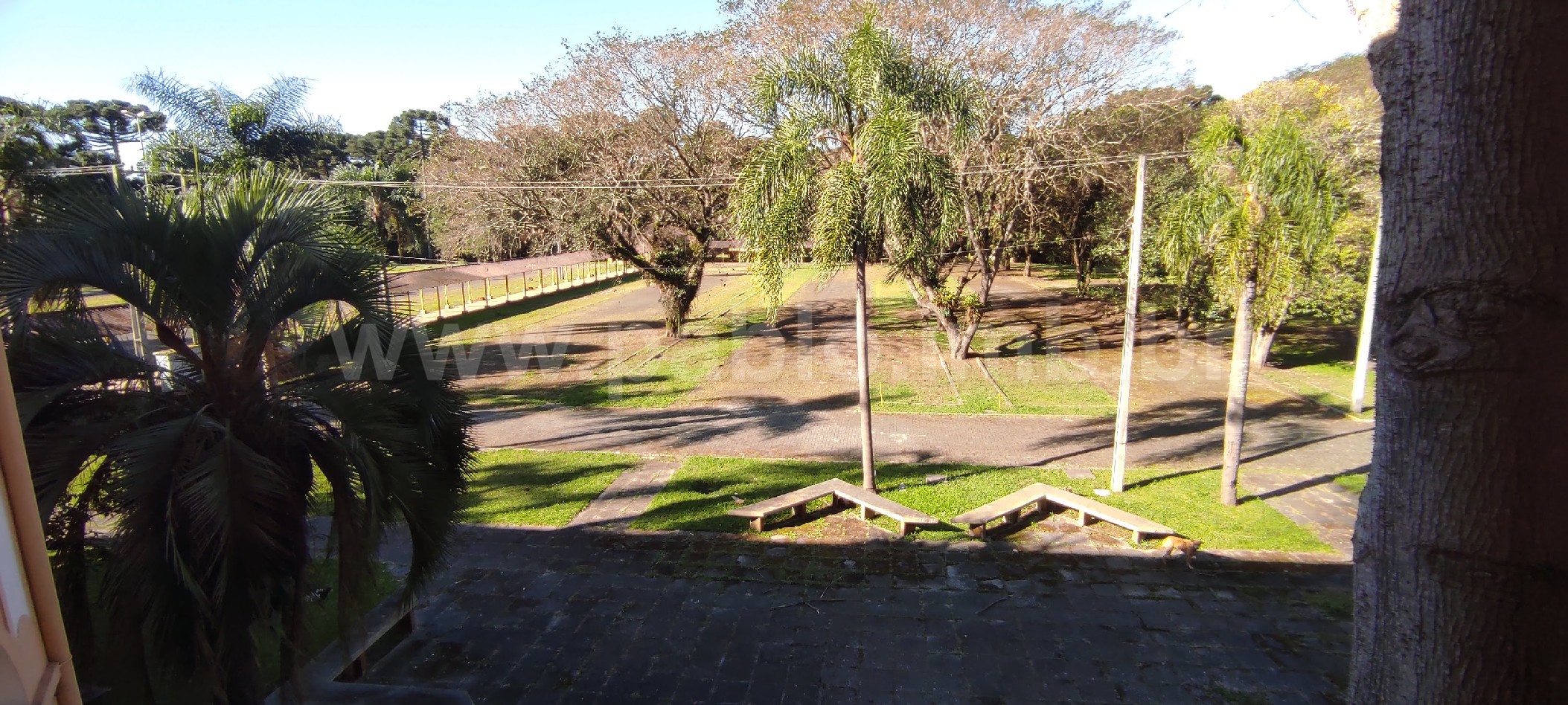 Great-land-for-sale-brazil_PabloRealty14.jpg