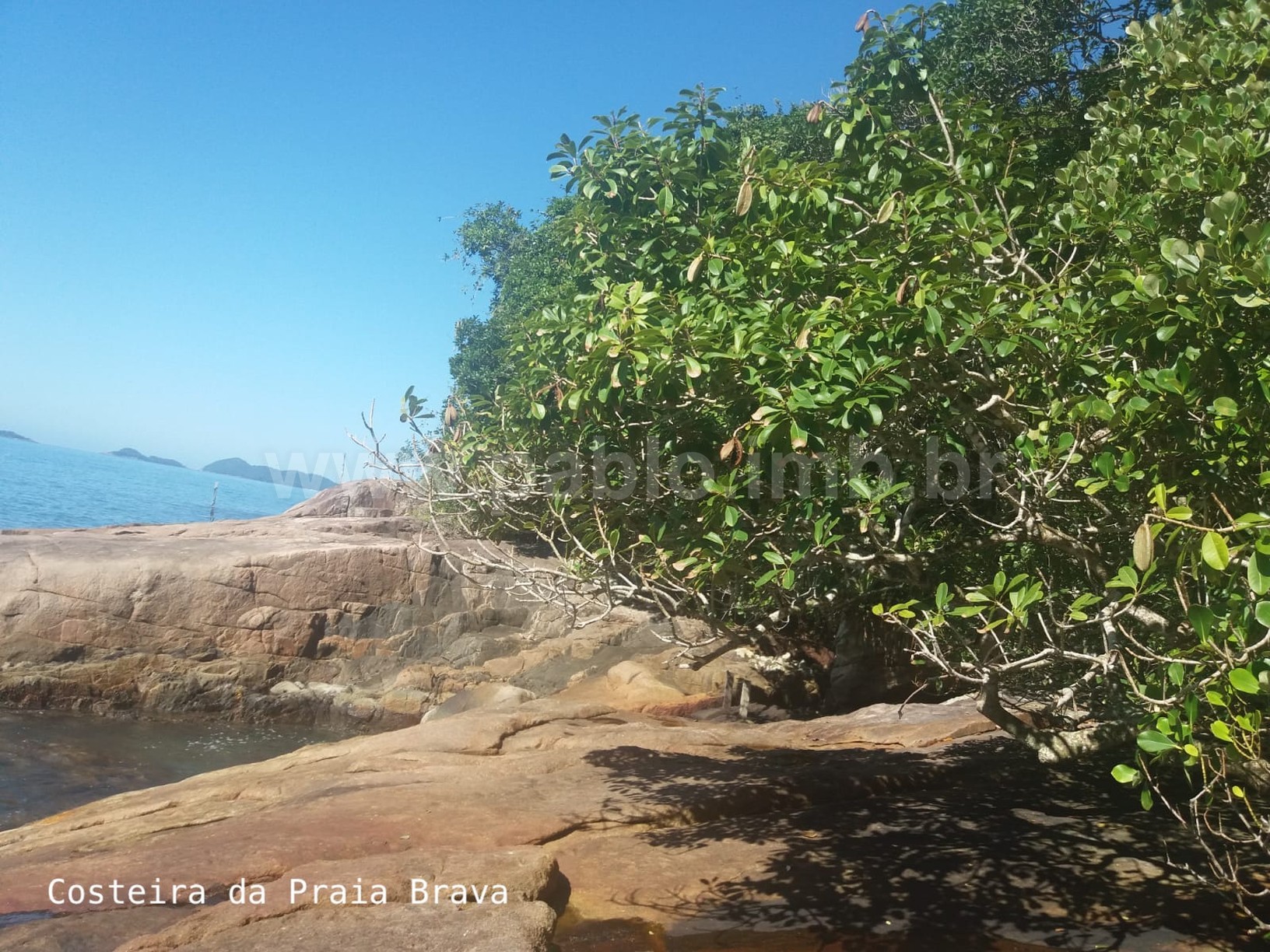 Terreno-em-Ubatuba-Vende_PabloCunha10_pablo_cunha.jpg